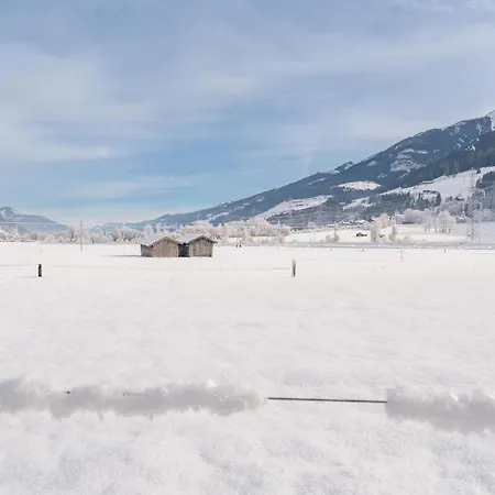 度假居 Tauernlodge Salzach 尼登希尔